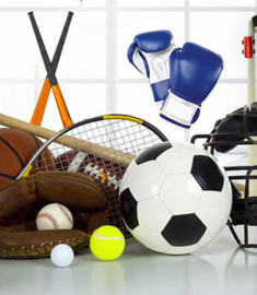 Sports Goods, Toys & Games