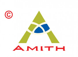 amithgroup.in
