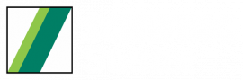 schwingstetterindia.com