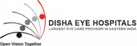 dishaeye.org