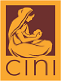 cini-india.org