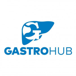 gastrohubhospital.com