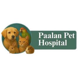paalanpethospital.com