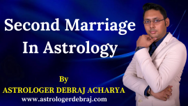 astrologerdebraj.com