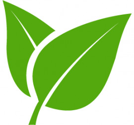 kairaorganic.com